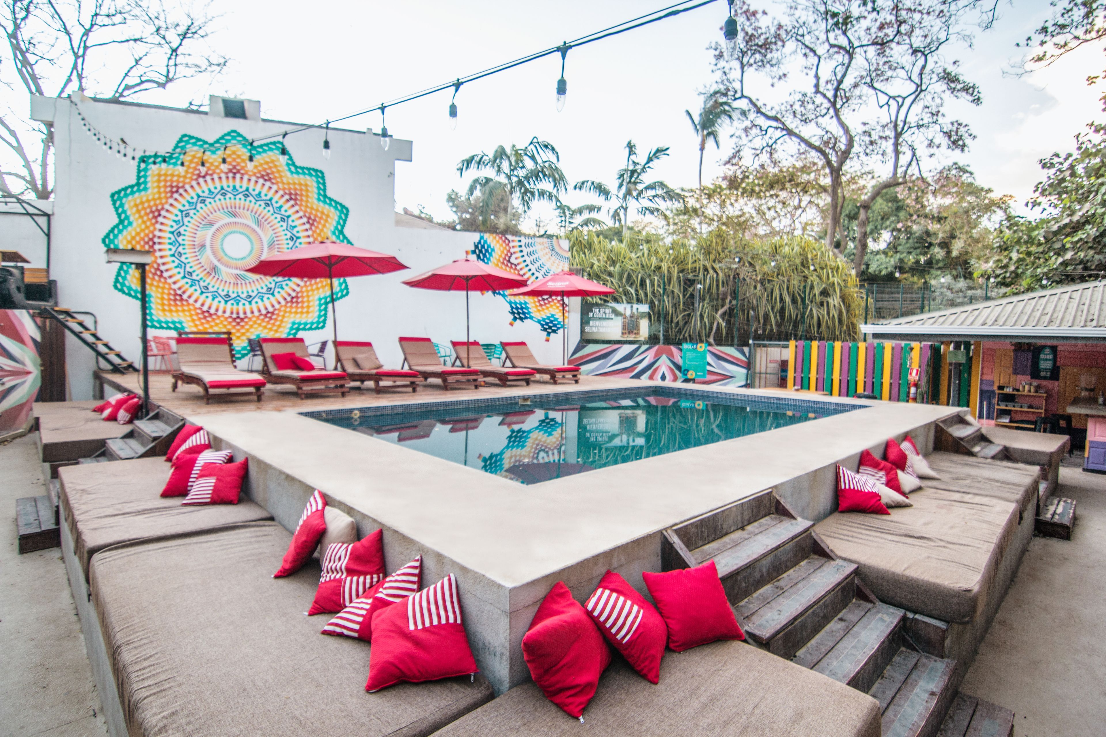 Outdoor pool, sun loungers