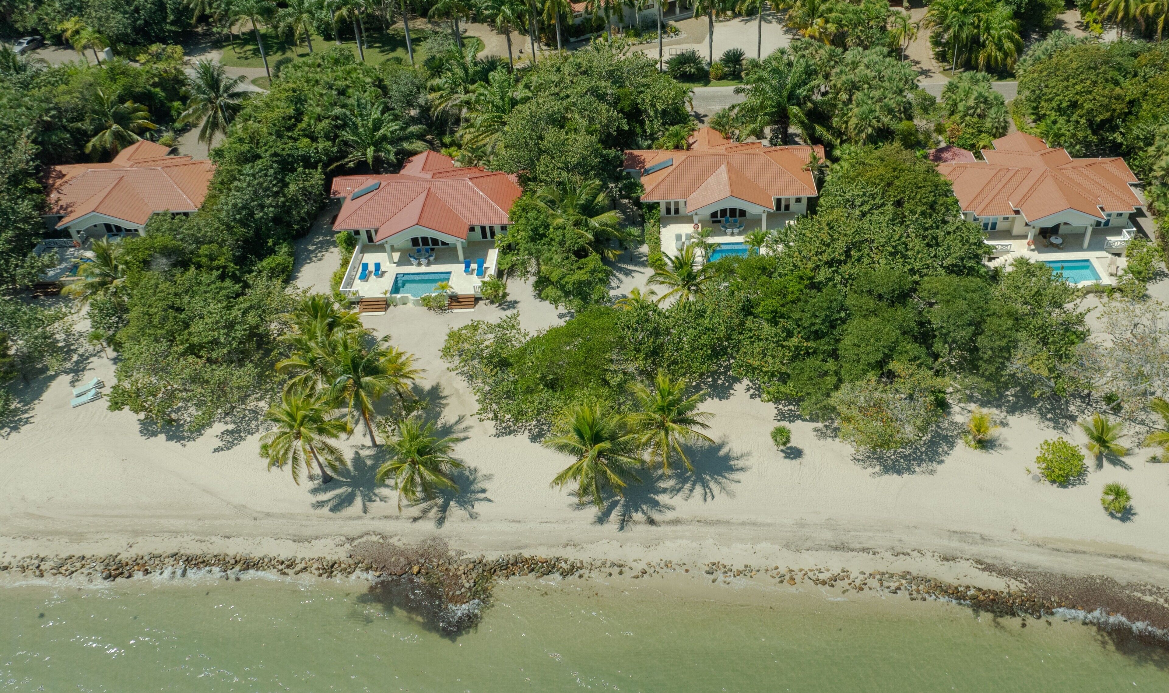 Una propiedad frente al mar con varias casas, una piscina y palmeras.