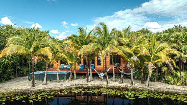 A wooden house surrounded by palm trees and a swimming pool.