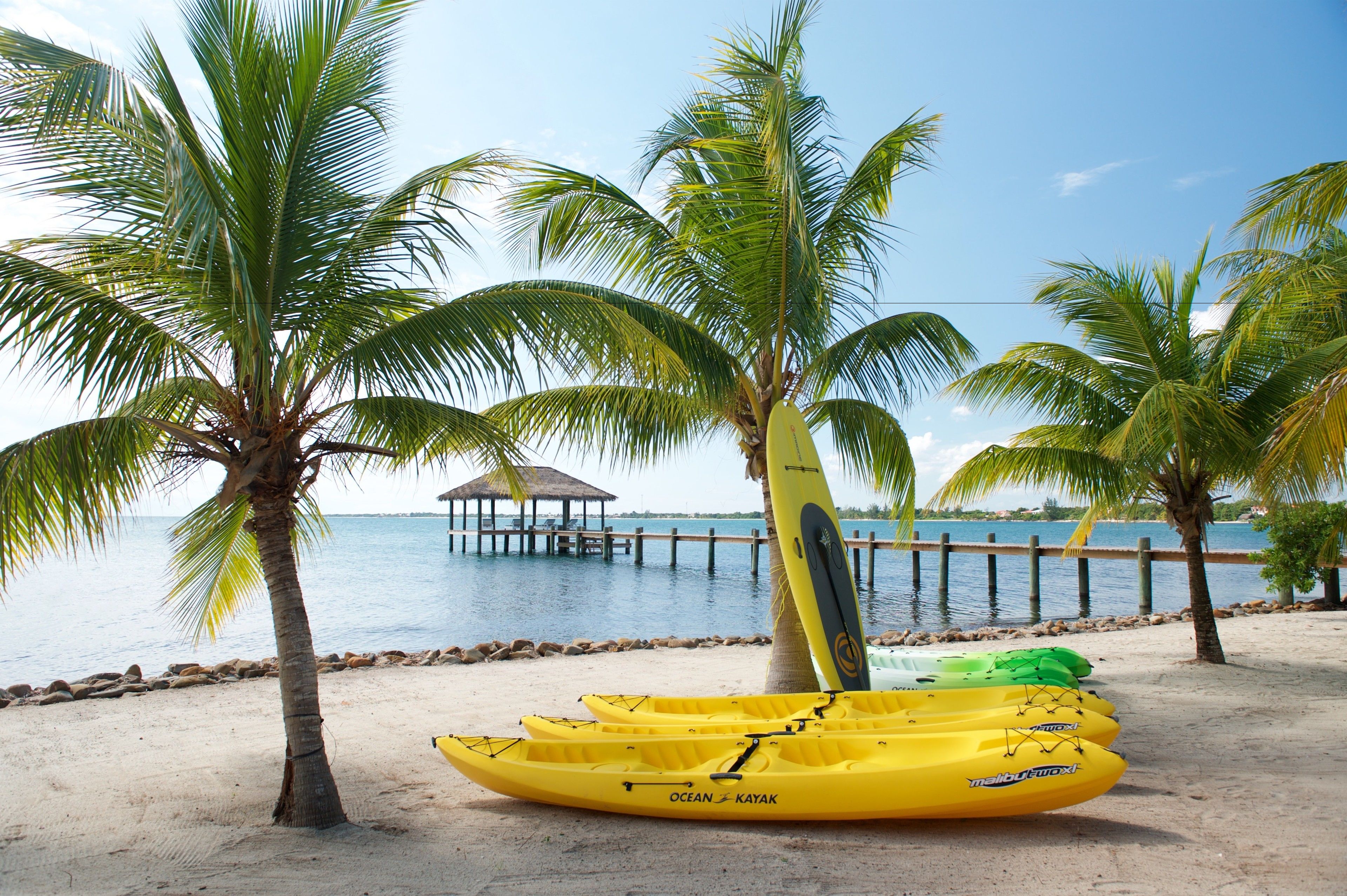 A beach with yellow kayaks, palm trees, and a pier in the background.