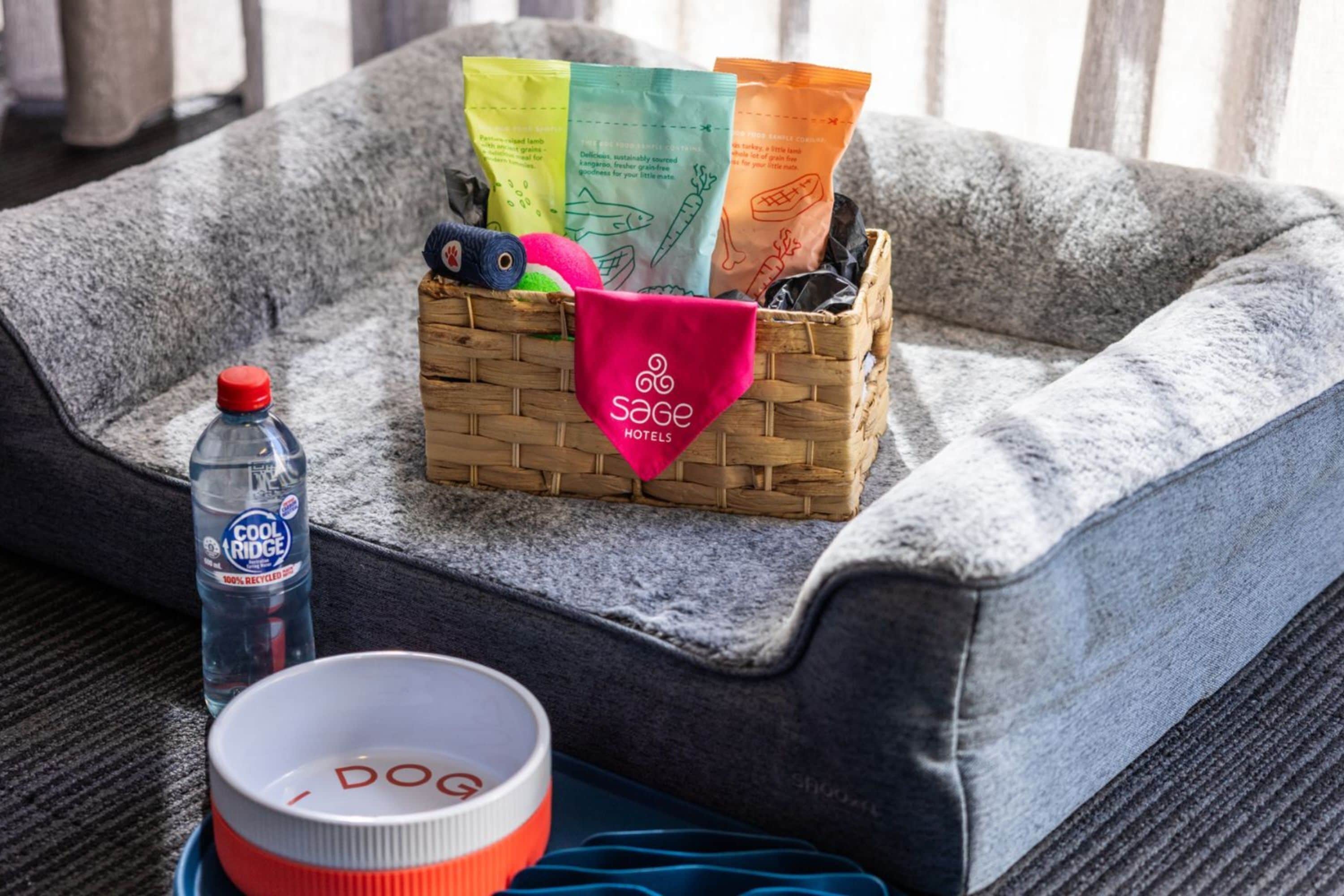 A pet bed with a woven basket containing pet supplies, a water bottle, and a bowl.