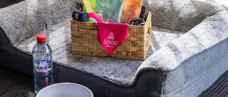 A pet bed with a woven basket containing pet supplies, a water bottle, and a bowl.