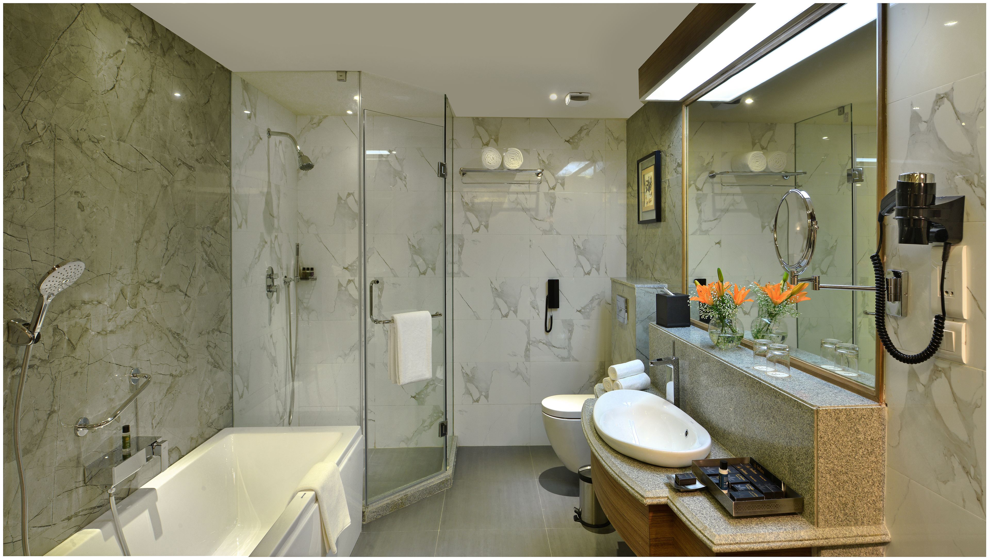 combined shower/bathtub, free toiletries, hair dryer, bathrobes