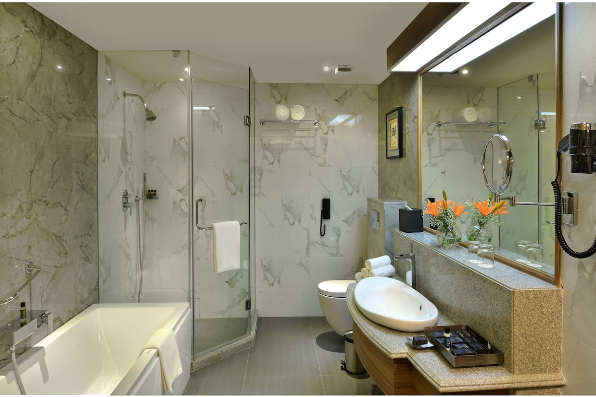 combined shower/bathtub, free toiletries, hair dryer, bathrobes