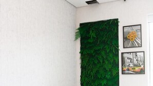 Una sala de estar moderna con un sofá gris, una pared vertical jardín con plantas y dos cuadros enmarcados.