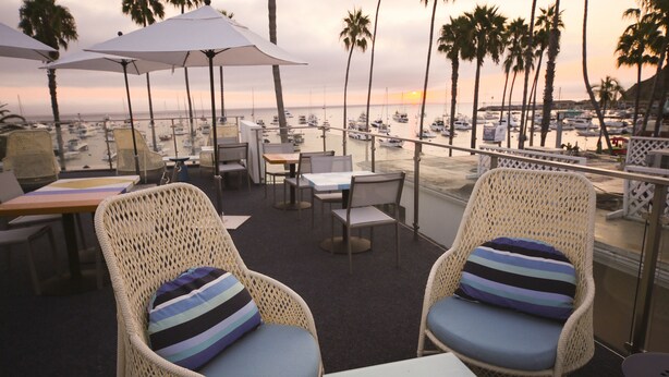 Una terraza con sillas y mesas de mimbre, con vista a un puerto deportivo con barcos y palmeras al atardecer.