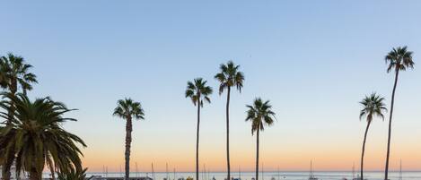A coastal scene with palm trees and boats.