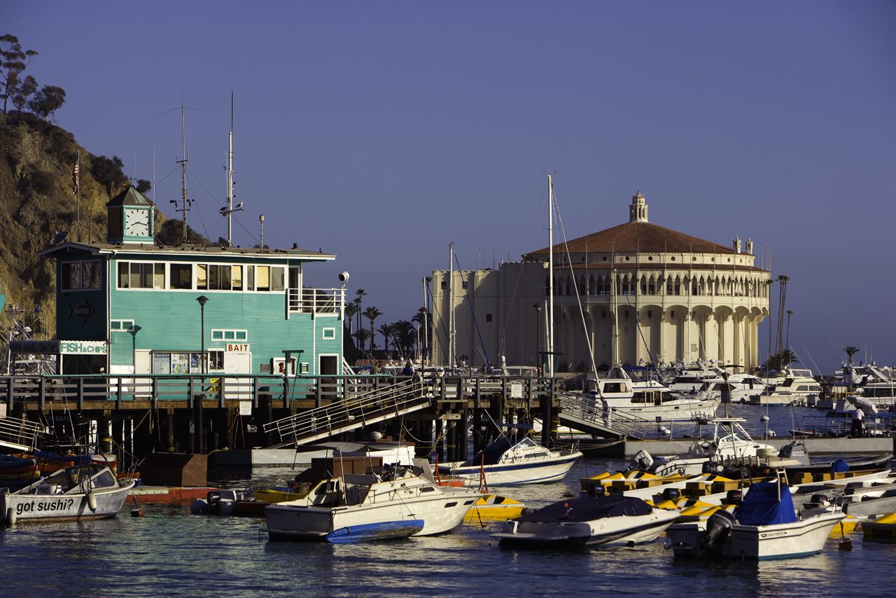 Un port de plaisance avec des bateaux amarrés, un bâtiment doté d’un clocher et une grande structure en forme de dôme.