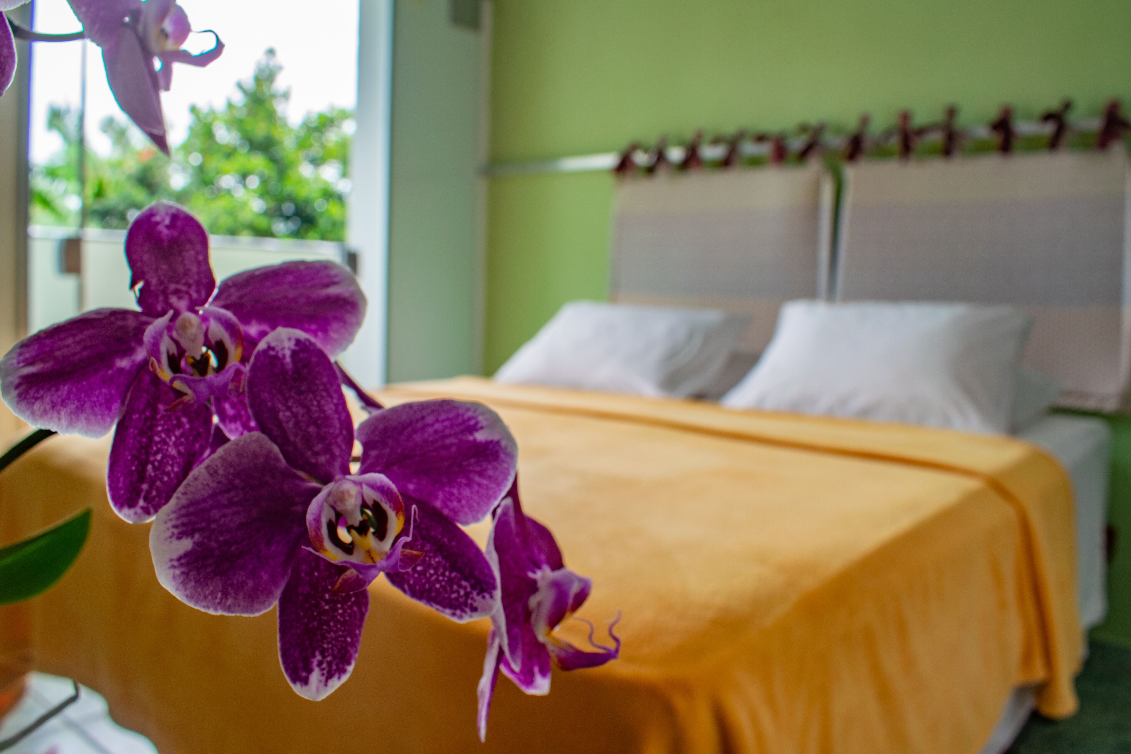 standard double or twin room | 1 bedroom, minibar, blackout curtains, iron/ironing board