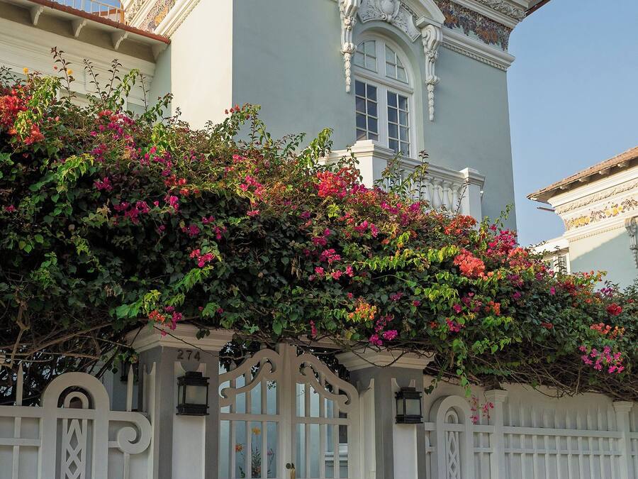 Un edificio con fachada blanca, un acceso decorativo y el número 274 en la puerta.