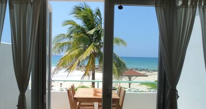 Tyne Beach Terrace Apartments & Houses