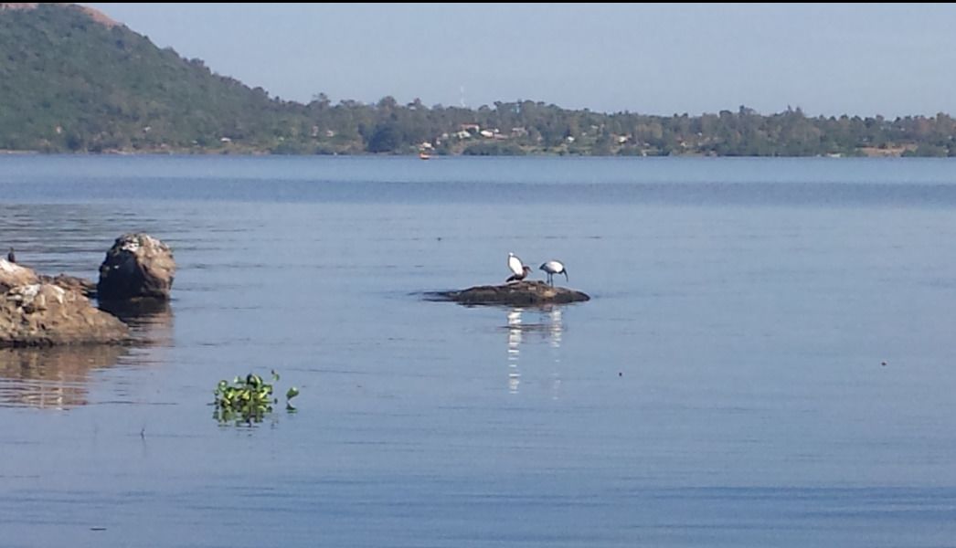 Utsikt fra overnattingsstedet