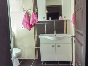 Apartment, 1 Bedroom, Mountain View | Bathroom