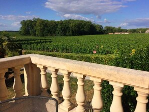 Un balcon avec vue sur un vignoble et des arbres en arrière-plan.