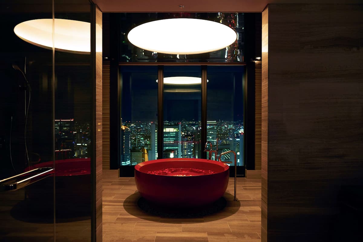 combined shower/bathtub, free toiletries, hair dryer, bathrobes