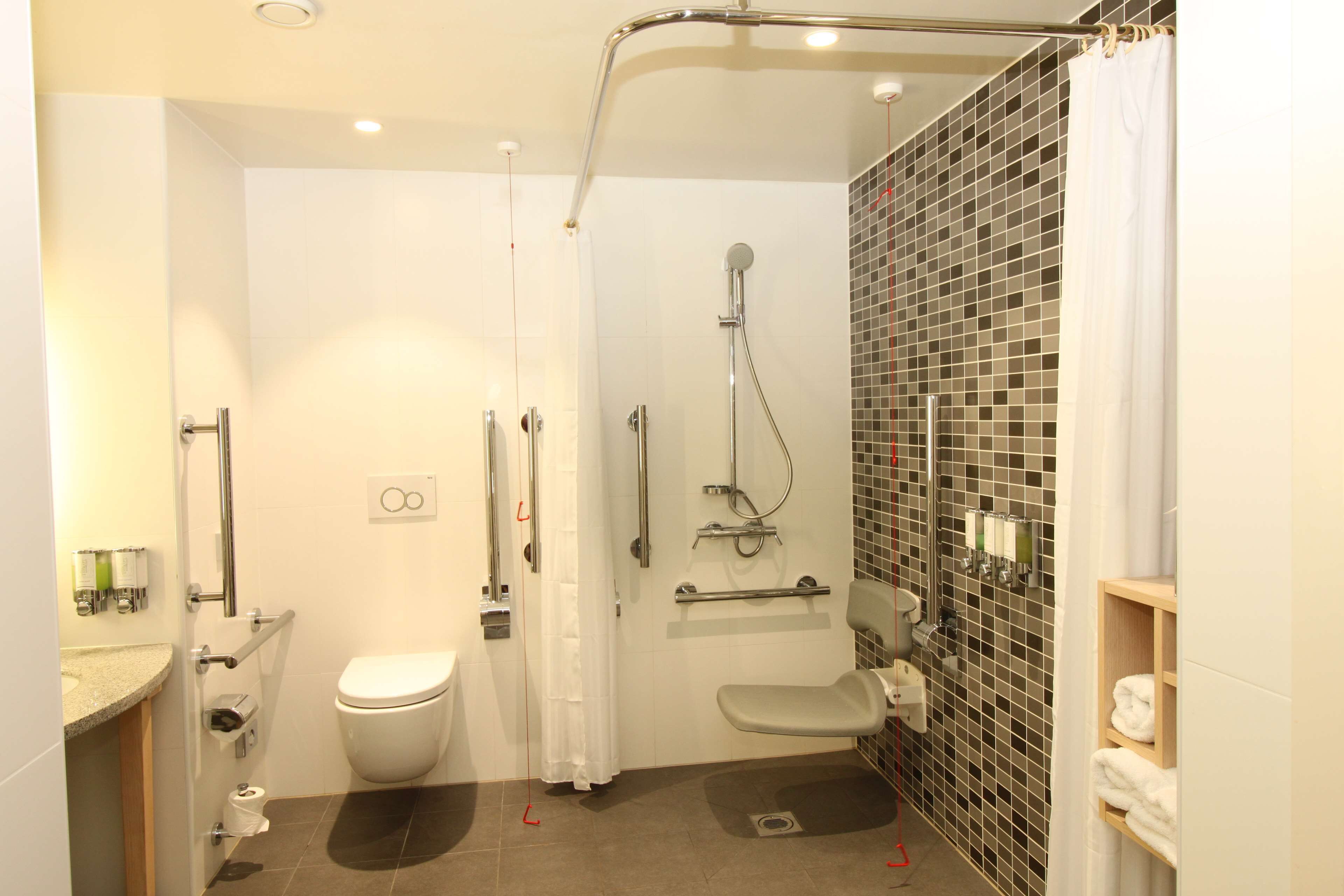 twin room, accessible | bathroom shower