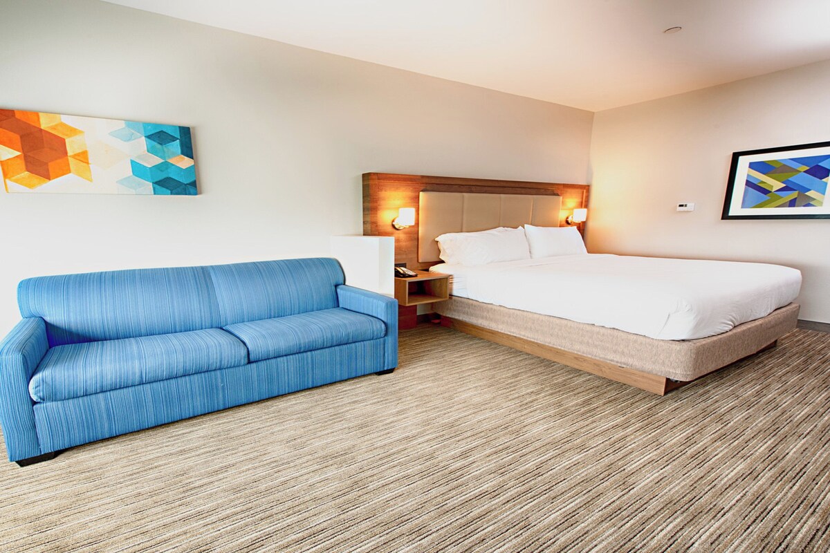 Suite, 1 King Bed