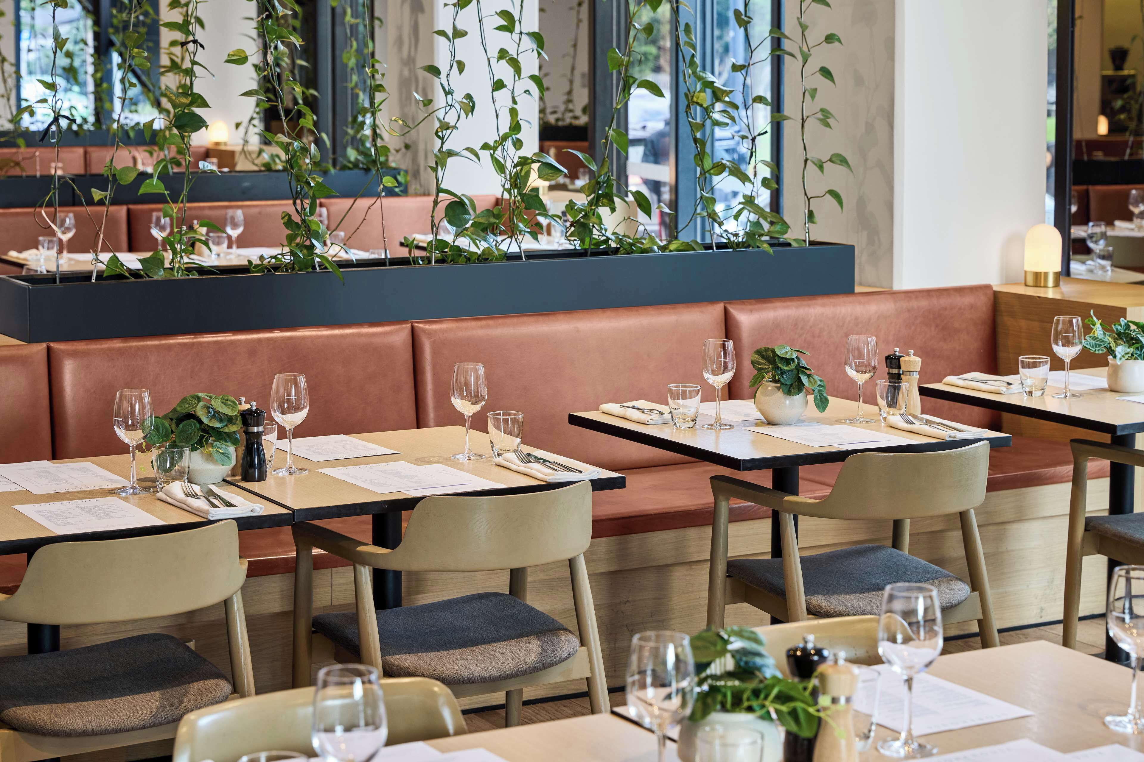L’intérieur d’un restaurant, avec des banquettes, des tables et des plantes suspendues.