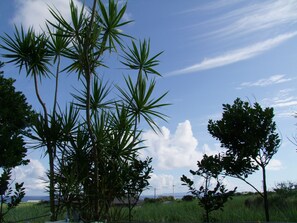 客房景观