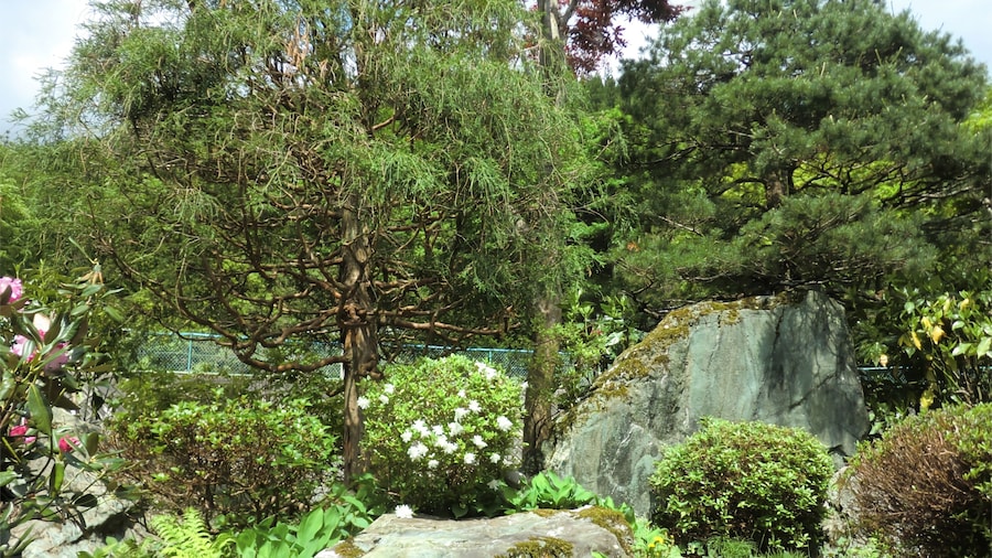 Onsen Guesthouse Sakaeya