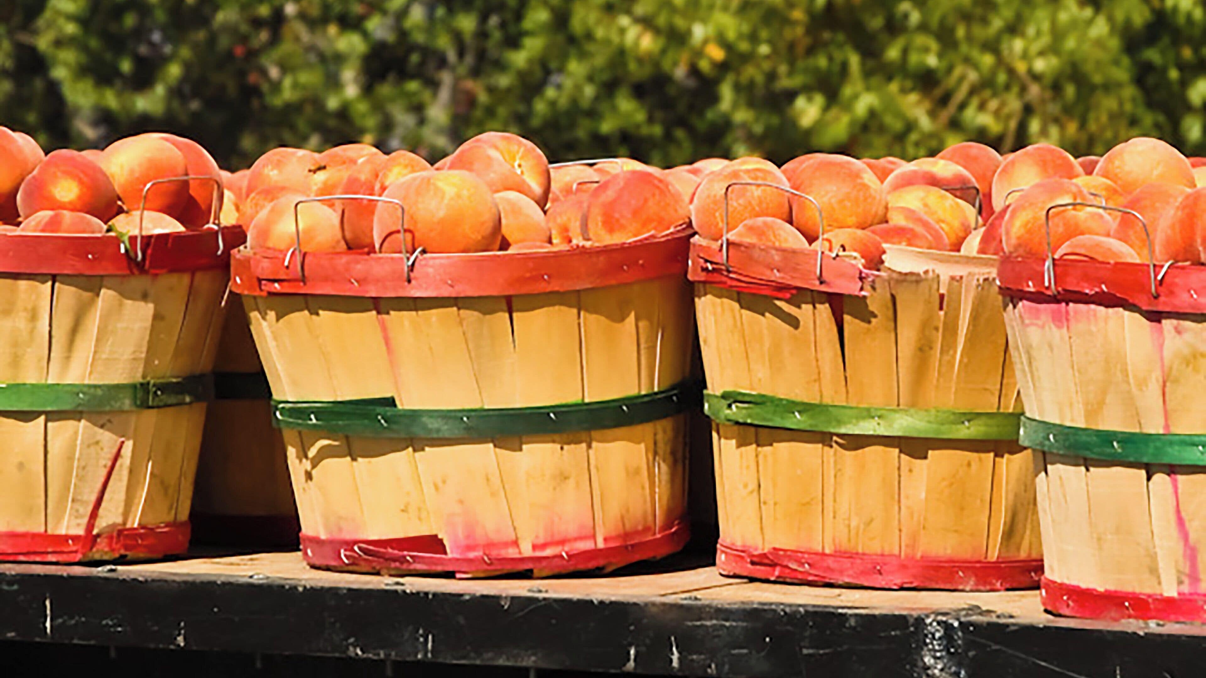 Multiple wooden baskets filled with peaches, placed on a shelf.