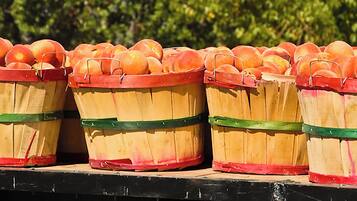 Multiple wooden baskets filled with peaches, placed on a shelf.