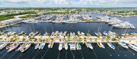 A marina with numerous yachts docked, surrounded by palm trees and a clear sky.