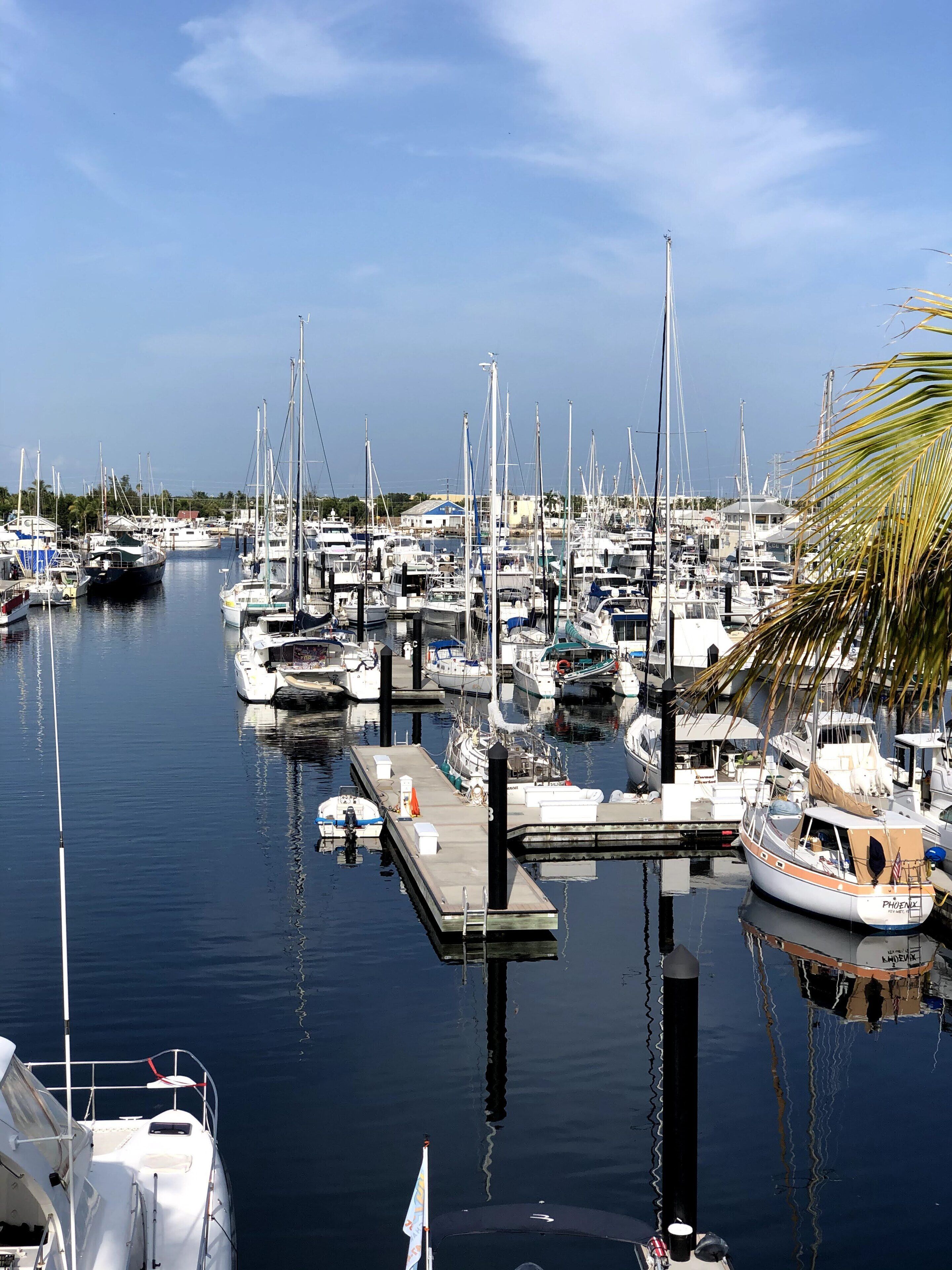 A marina with multiple boats docked at piers, calm water, and a clear sky.