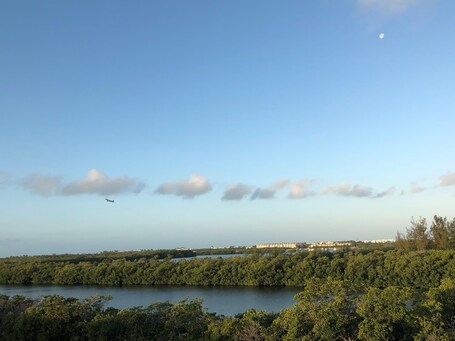 The Perry Hotel Marina Key West - Image 12