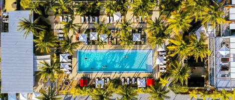 An aerial view of a resort with a central swimming pool surrounded by palm trees and sun loungers.