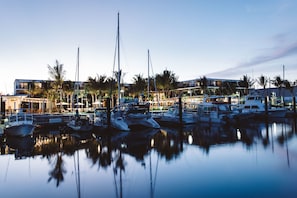 Muelle