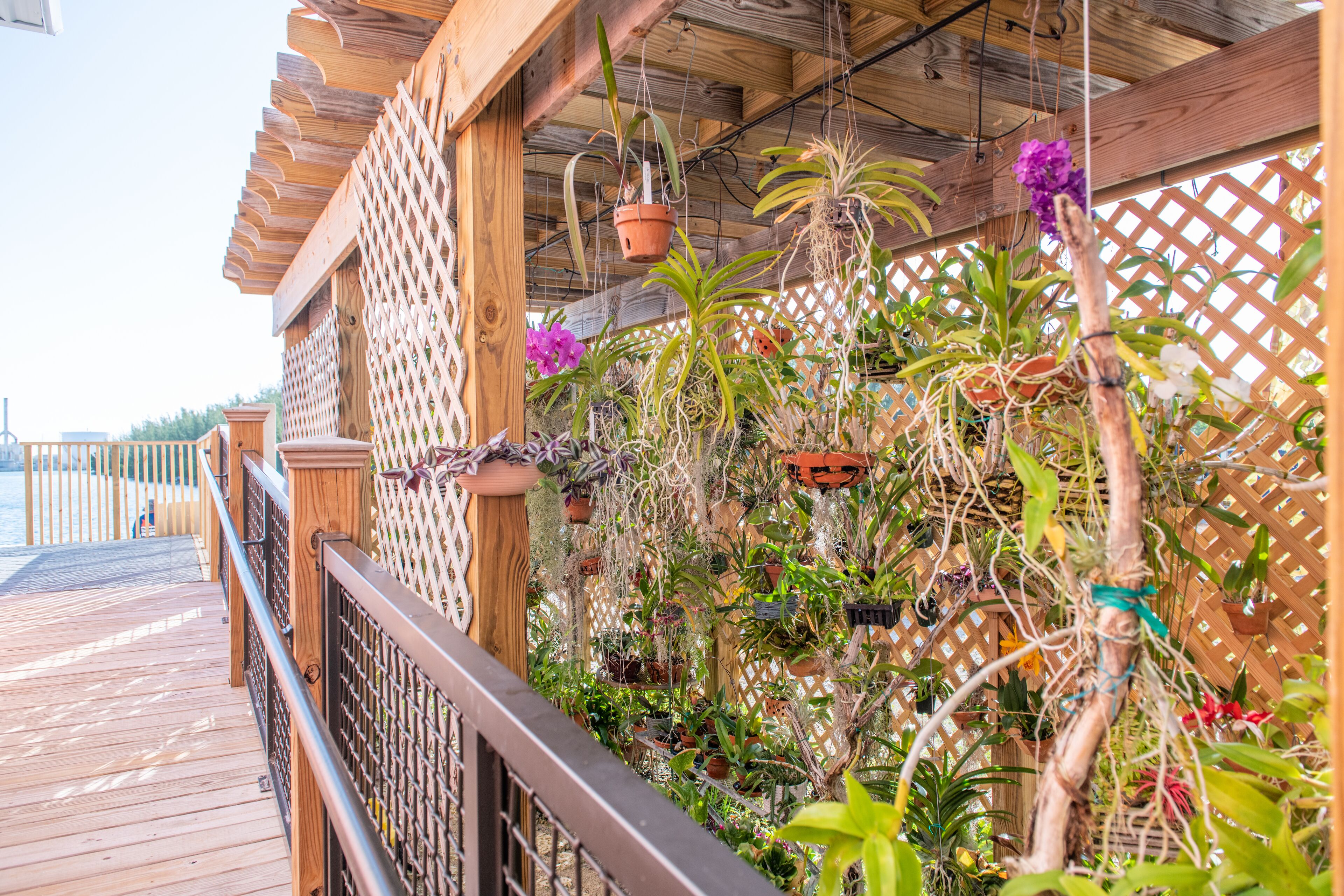 Foto - The Perry Hotel & Marina Key West