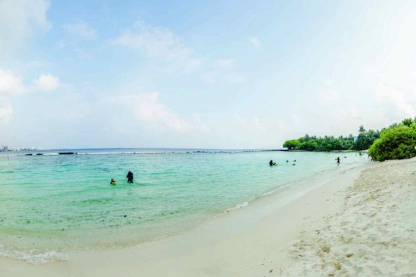 On the beach, scuba diving
