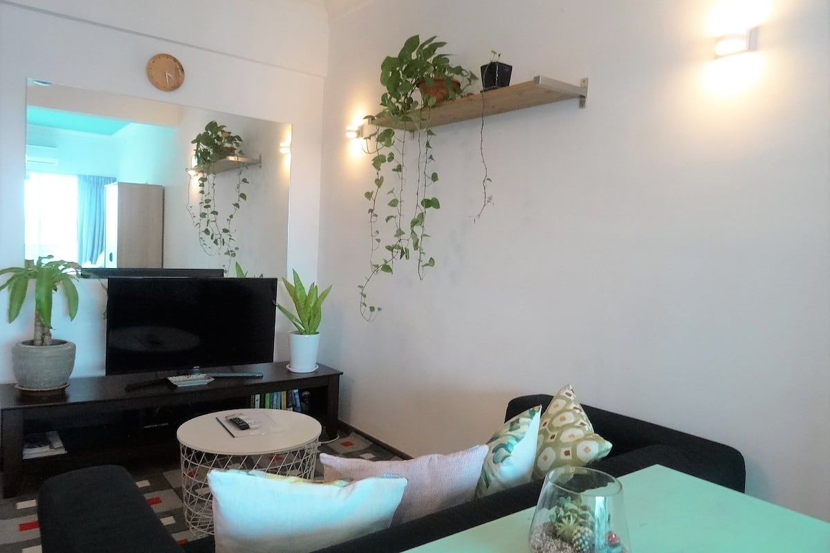 A living room with a TV, sofa, coffee table, and decorative plants.