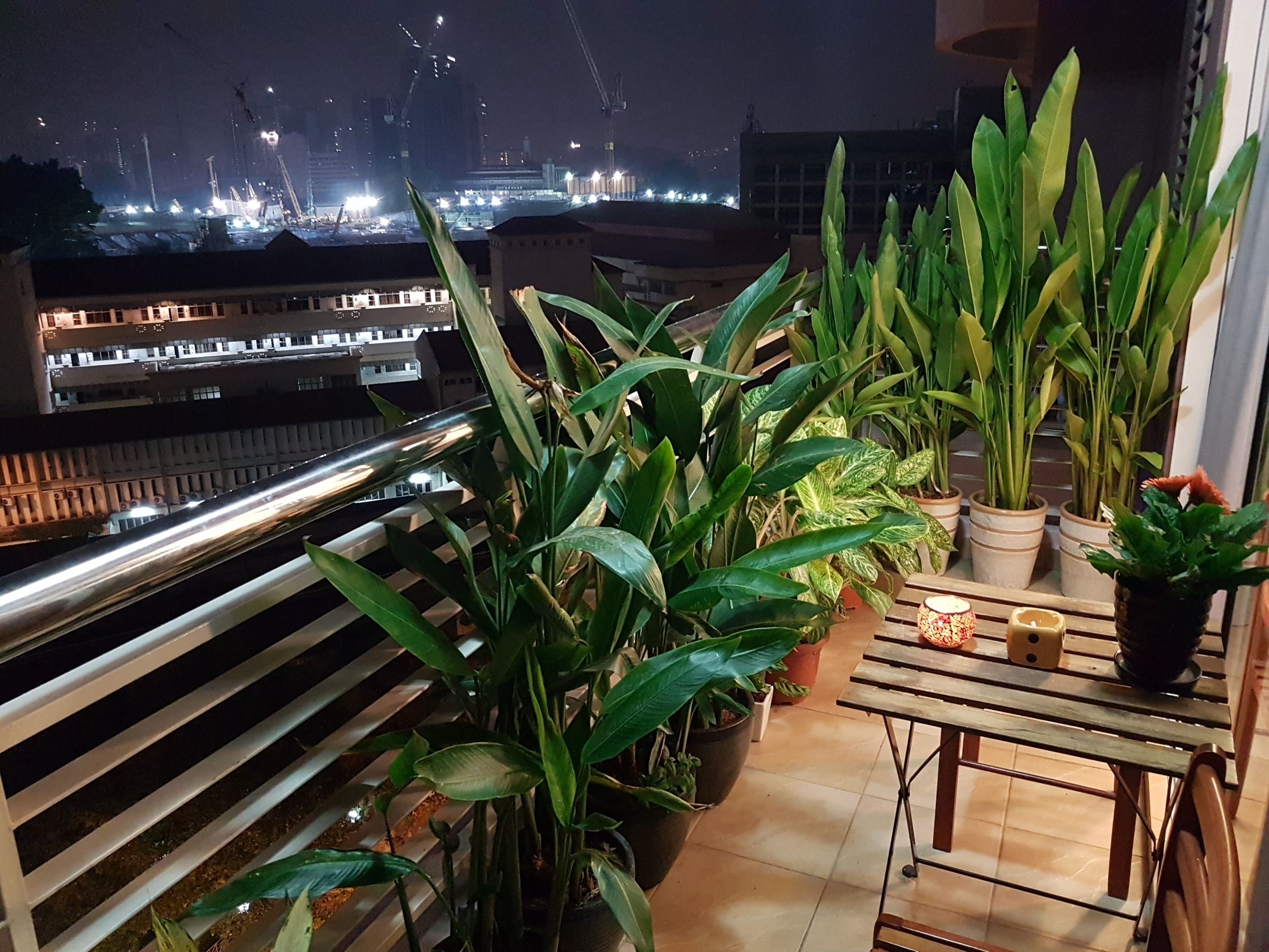Studio, Balcony (2 - (2 Pax only)) | Balkoni