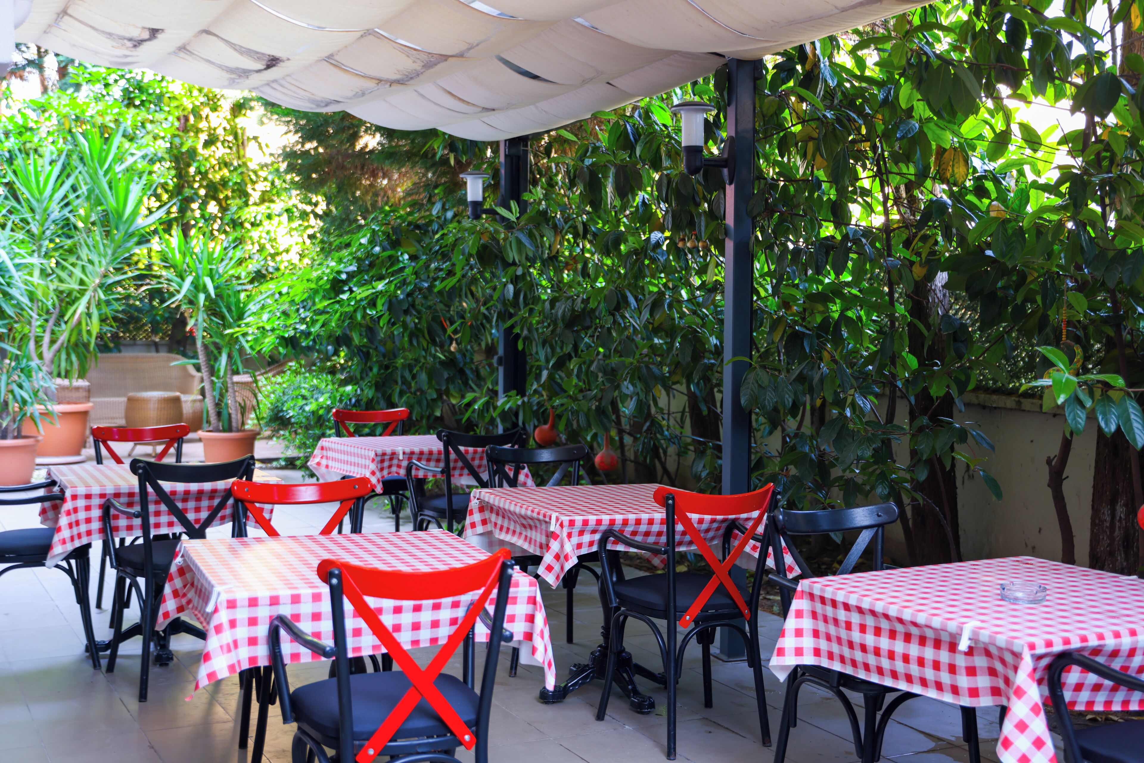 An outdoor patio area with tables and chairs, covered by a canopy, surrounded by lush greenery.