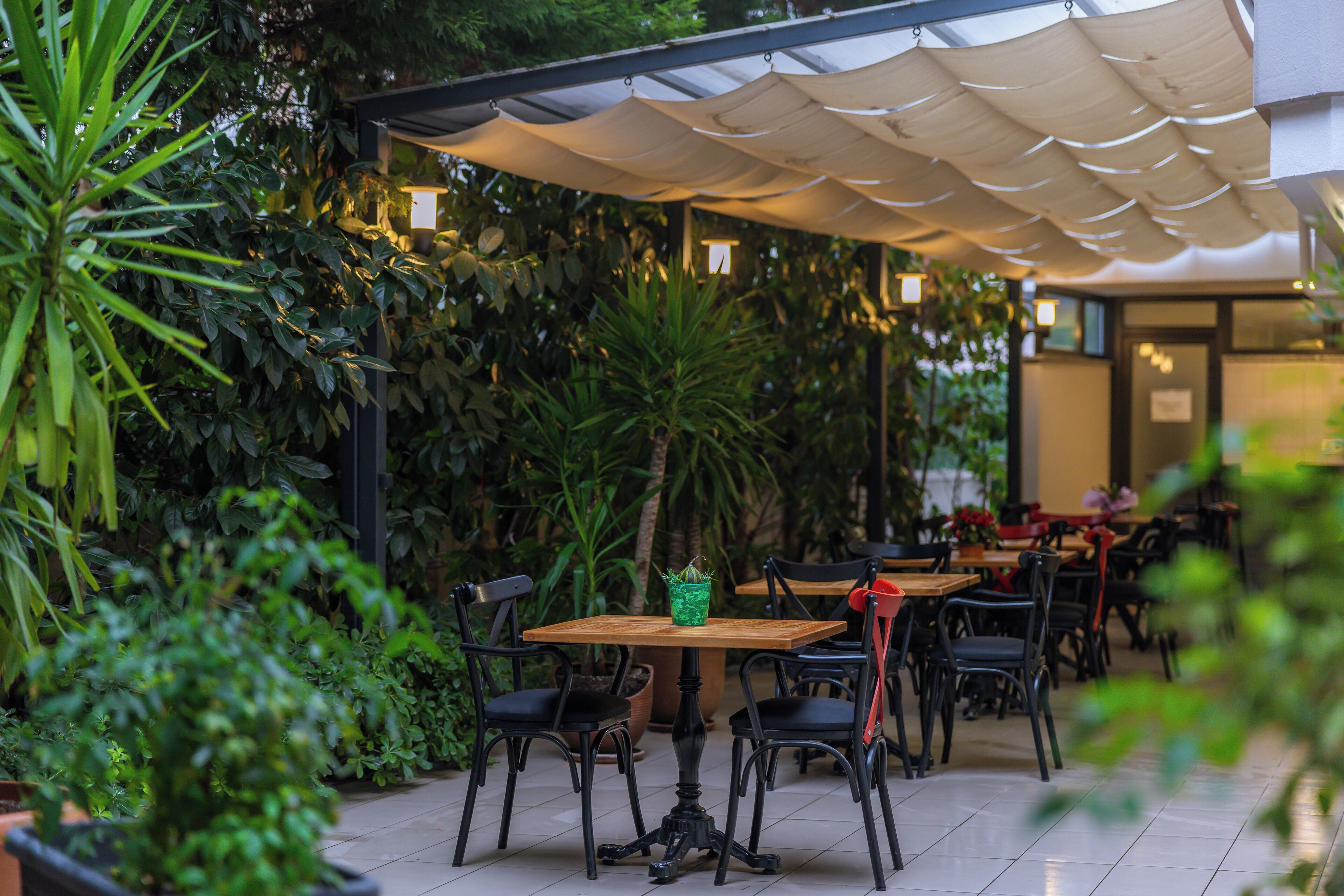 Café al aire libre con mesas y sillas, rodeado de abundante vegetación y un área cubierta con un toldo blanco.