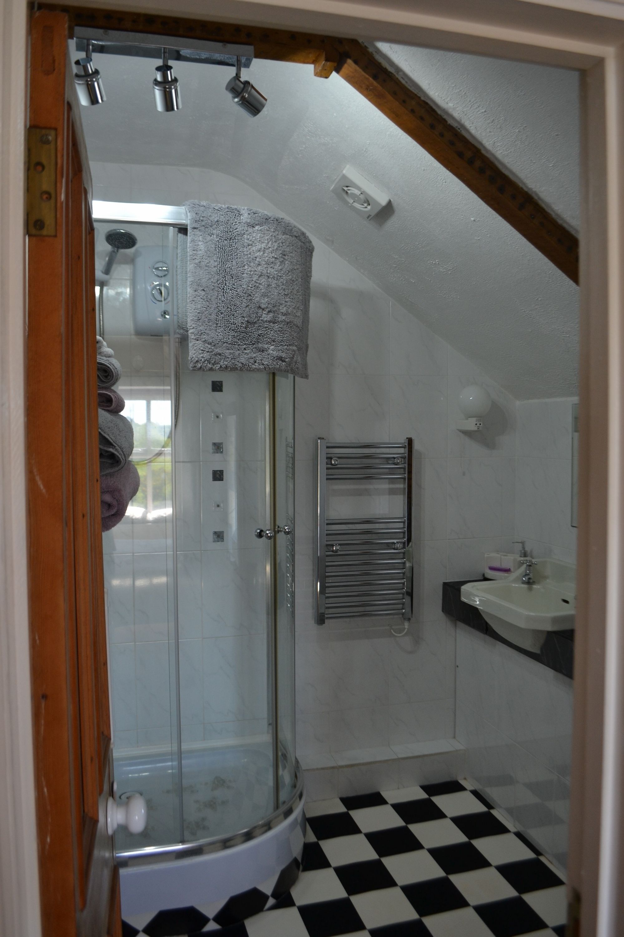 Une salle de bain avec une douche à parois de verre, un carrelage noir et blanc à motifs de damier, un porte-serviettes et un lavabo.