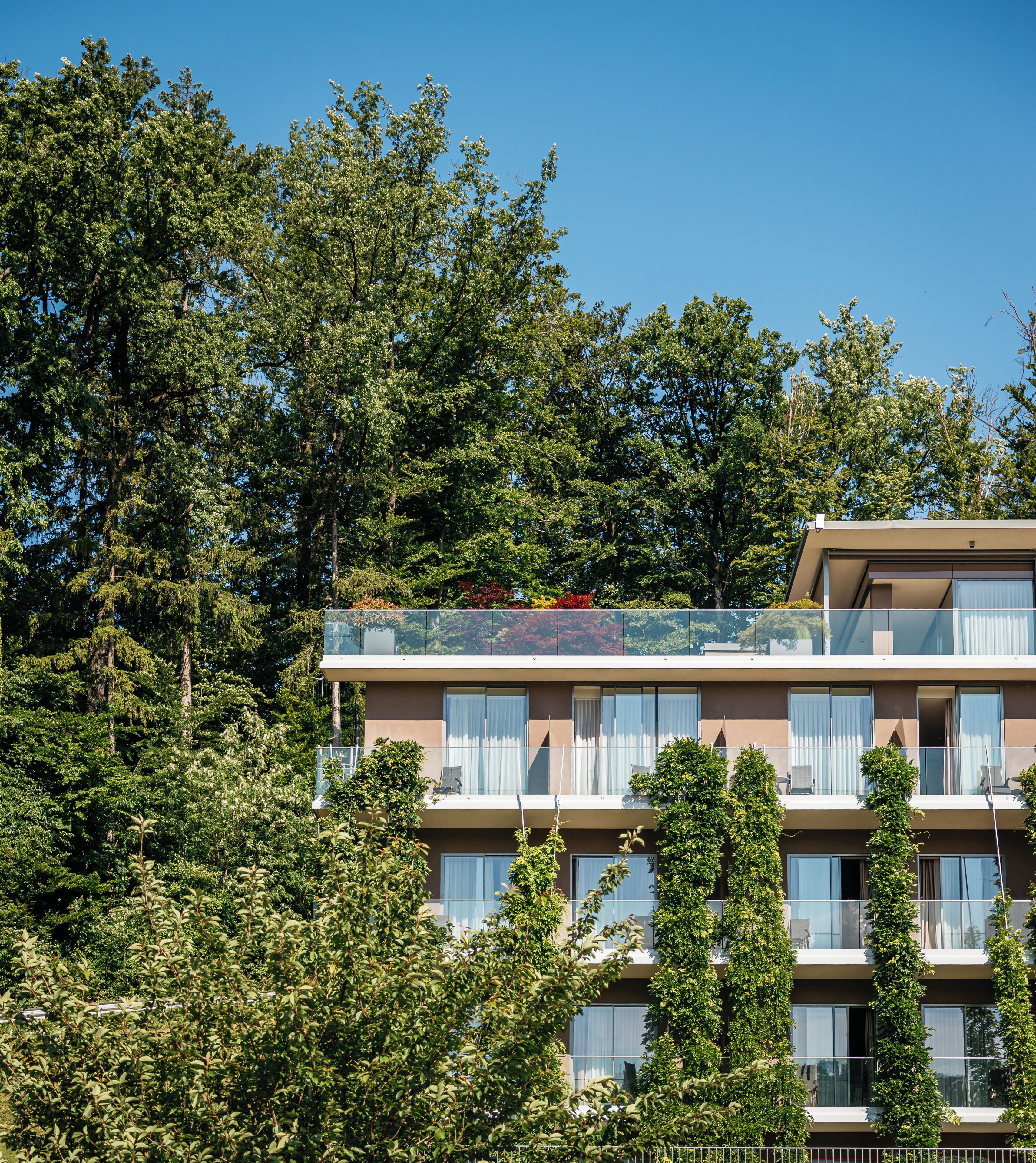A multi-story building with balconies, surrounded by dense trees.