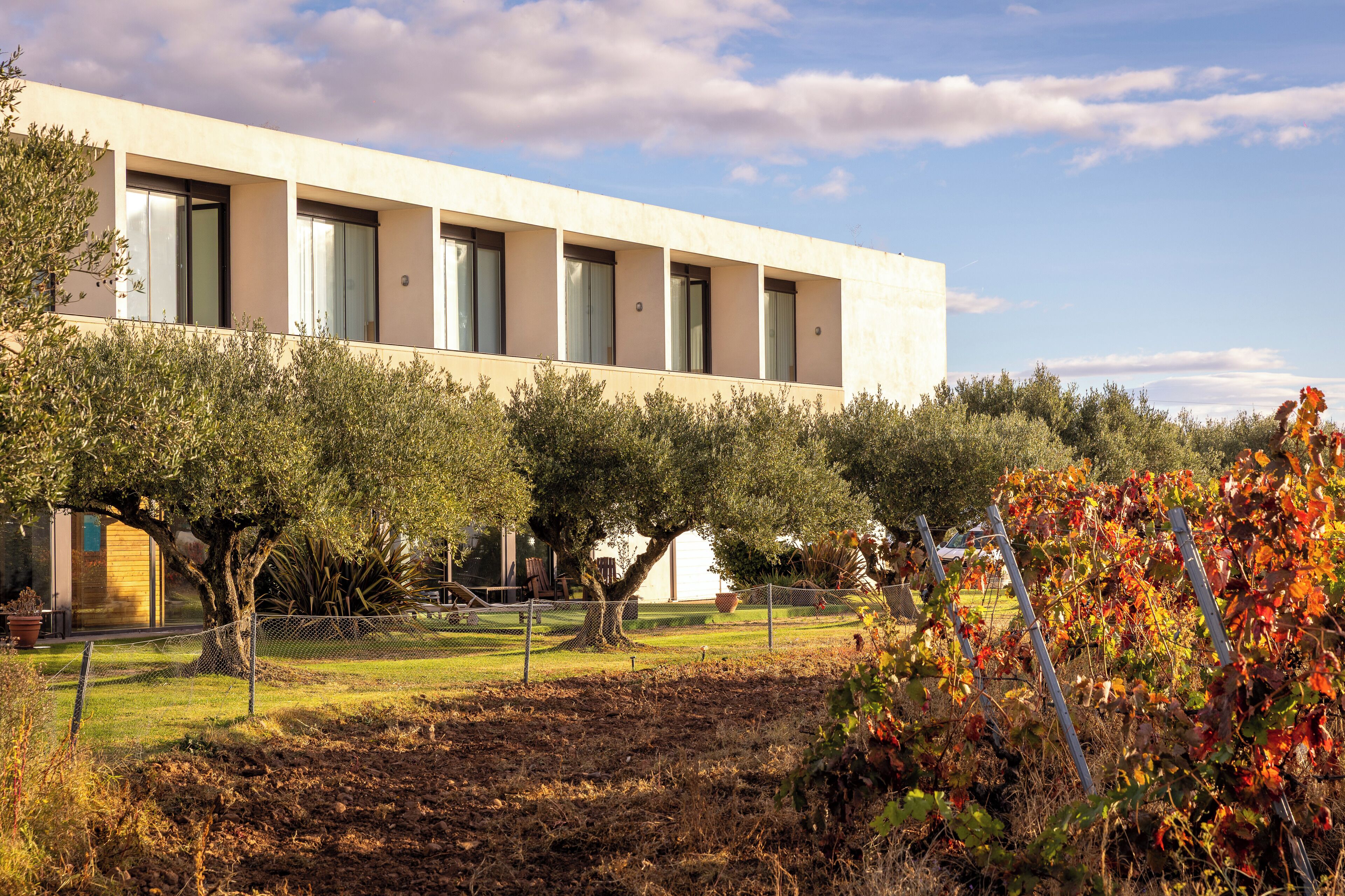 A modern building with large windows and a garden with trees and a fence.