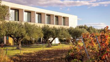 A modern building with large windows and a garden with trees and a fence.