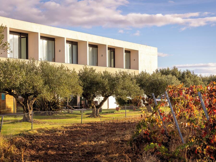 A modern building with large windows and a garden with trees and a fence.
