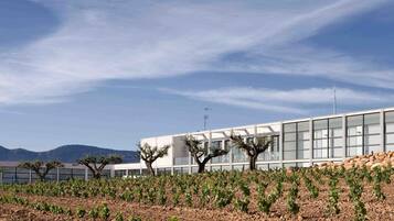 A modern building with large windows and a vineyard in the foreground.