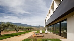 Un edificio moderno con terraza, asientos exteriores y vistas a un viñedo.