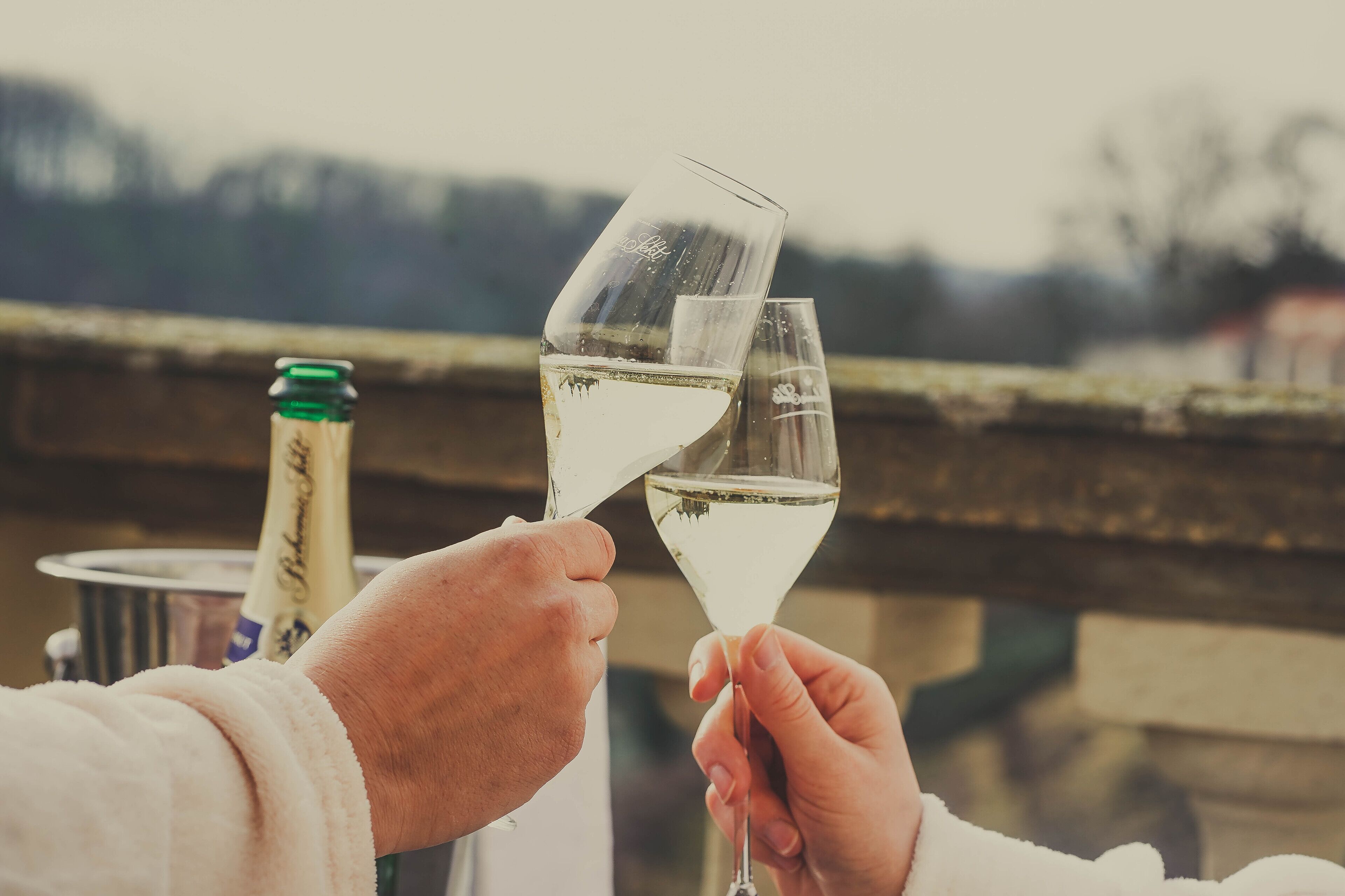 basic double or twin room, refrigerator, city view | champagne service