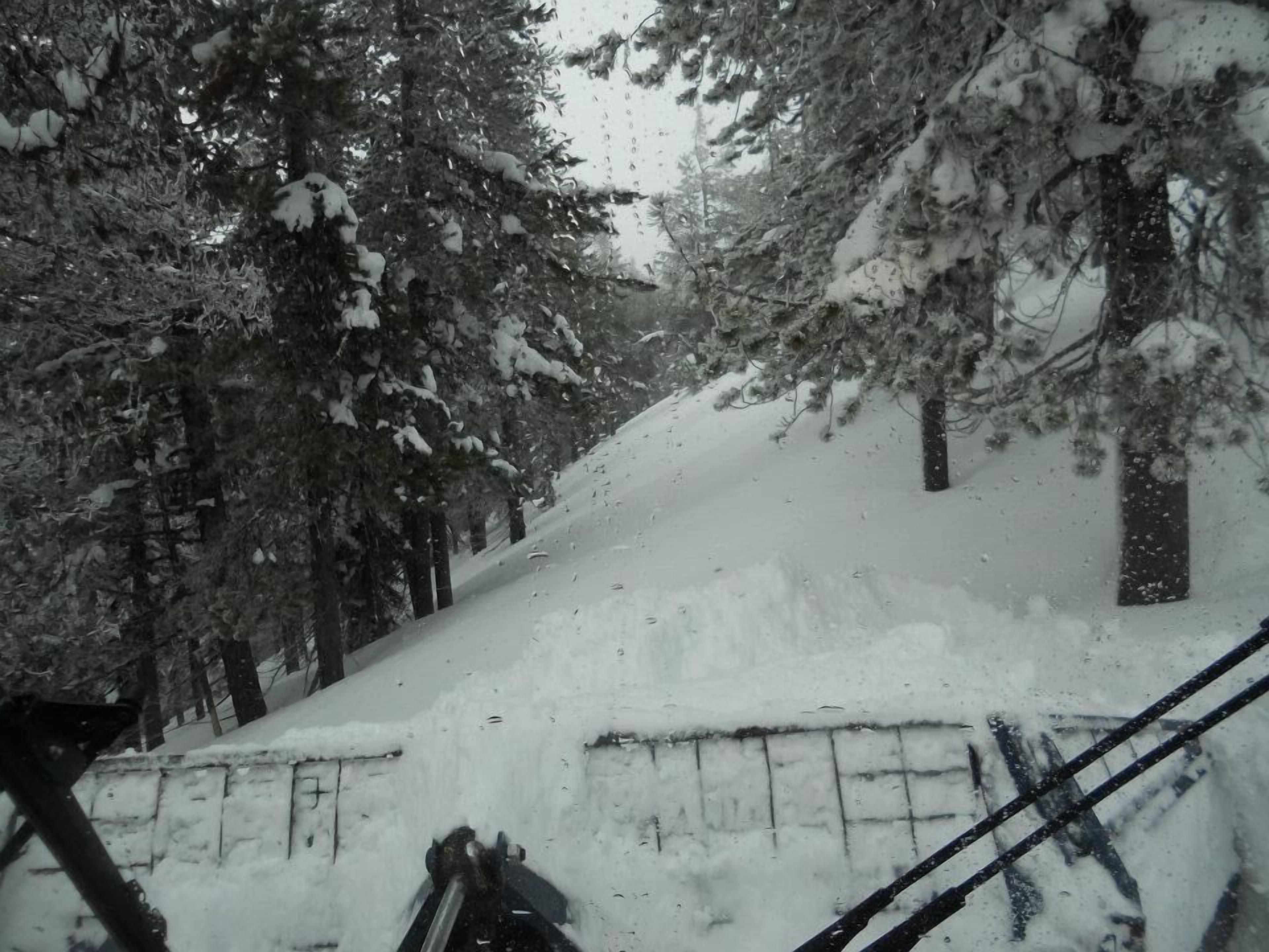 Un área boscosa nevada con una pendiente cubierta de nieve y una cerca.