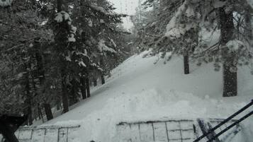 Un área boscosa nevada con una pendiente cubierta de nieve y una cerca.