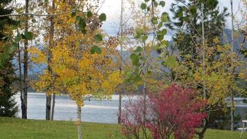 Uitzicht vanuit accommodatie