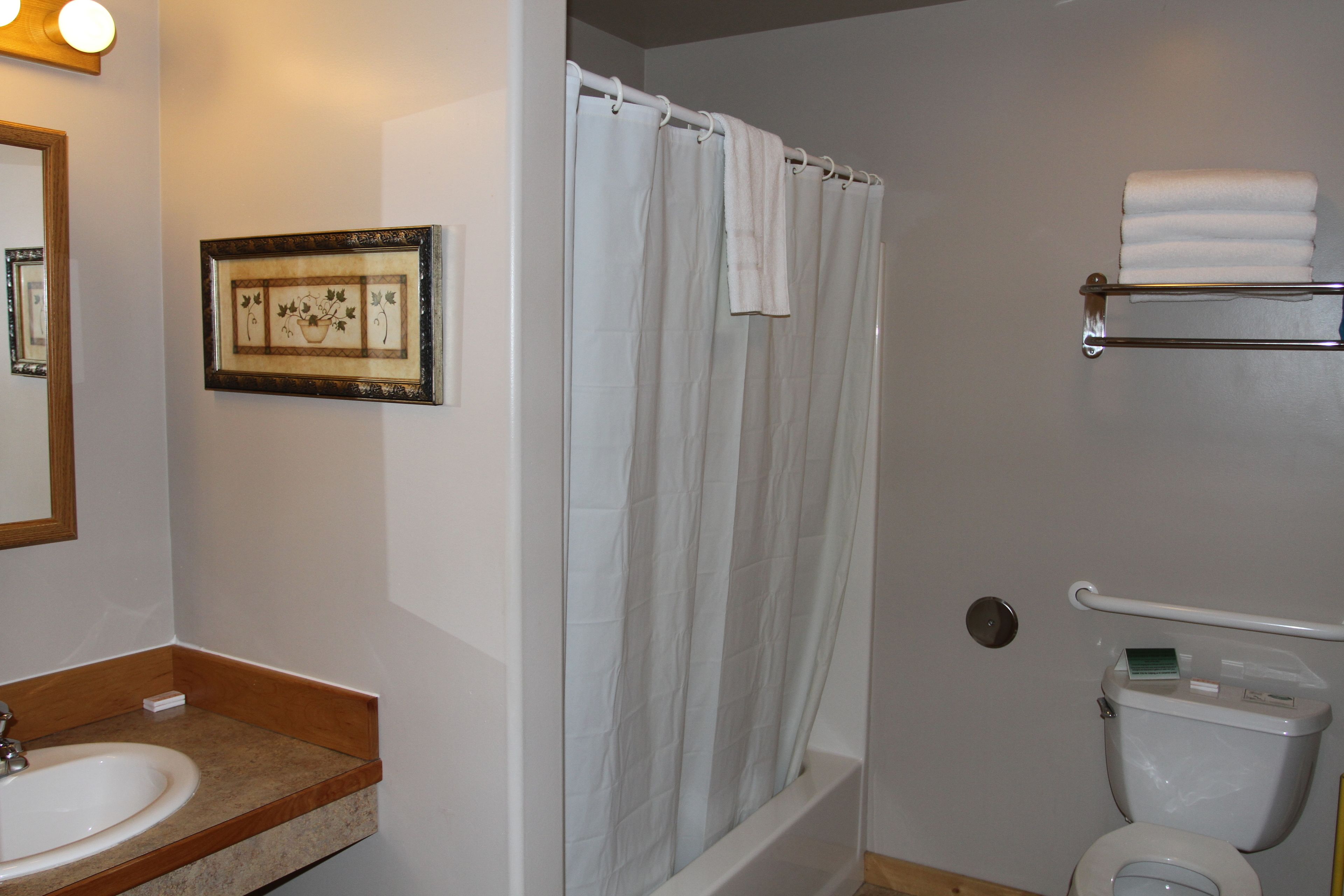 A bathroom with a sink, toilet, shower curtain, and a framed picture on the wall.