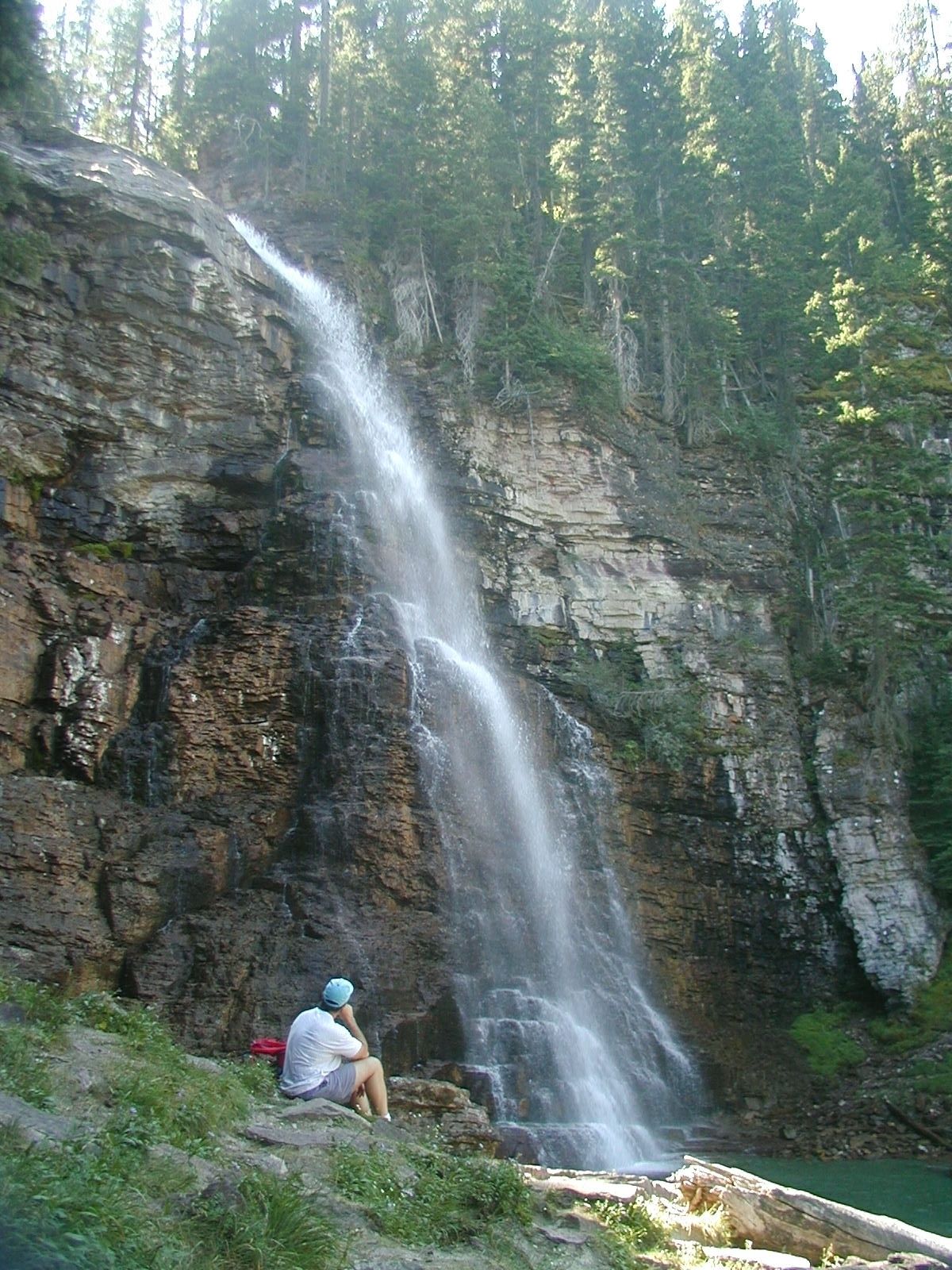 Una cascada se precipita por un acantilado rocoso, rodeada de árboles.